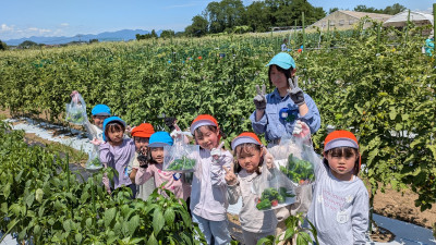 PXL_20250722_014349873